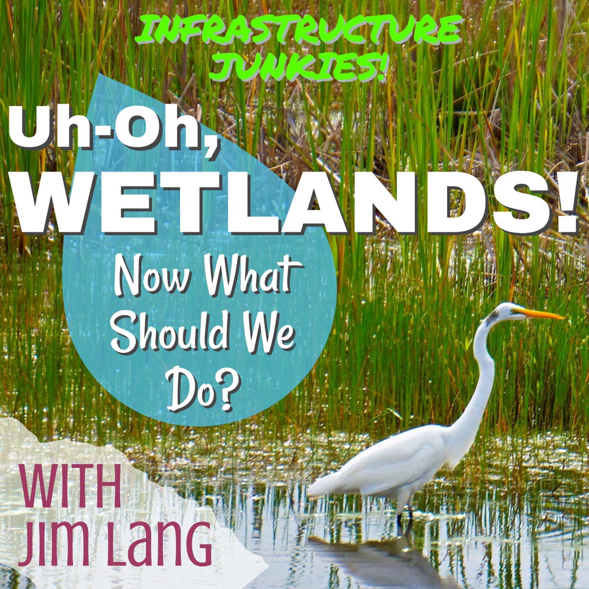 NEW EPISODE! Environmental attorney Jim Lang joins #InfrastructureJunkies! to educate us on #wetlands &amp; their effects on a right of way project, infrastructure development or property acquired by #eminentdomain. How do you define wetlands, &amp; what the heck are they? (a thread)
