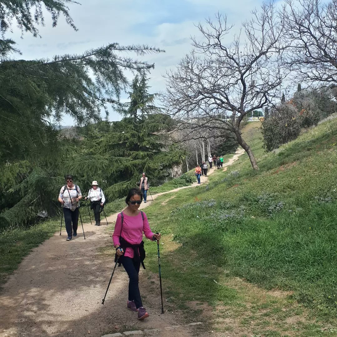 salutenactiu's tweet photo. #MarxaNòrdica amb #Grup65 del @COIBarcelona per Montjuïc: Castell i Font de la Gualla. Descobrim #RaconsdeBarcelona i #FemSalut. https://t.co/P1u7UkVSsn