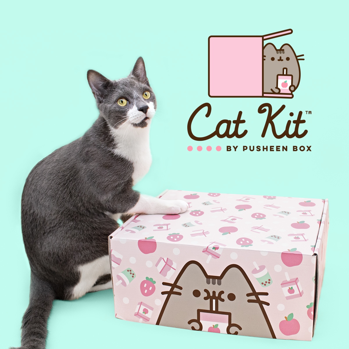 Pusheen Box on Twitter "The Spring Cat Kit is packed with berry cute goodies your cat would