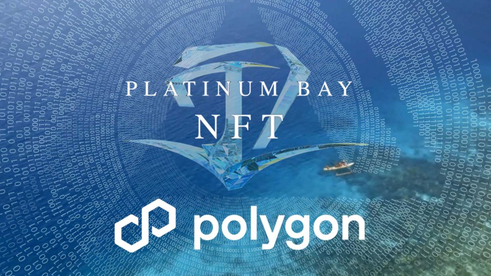 Platinum Bay NFT tweet media