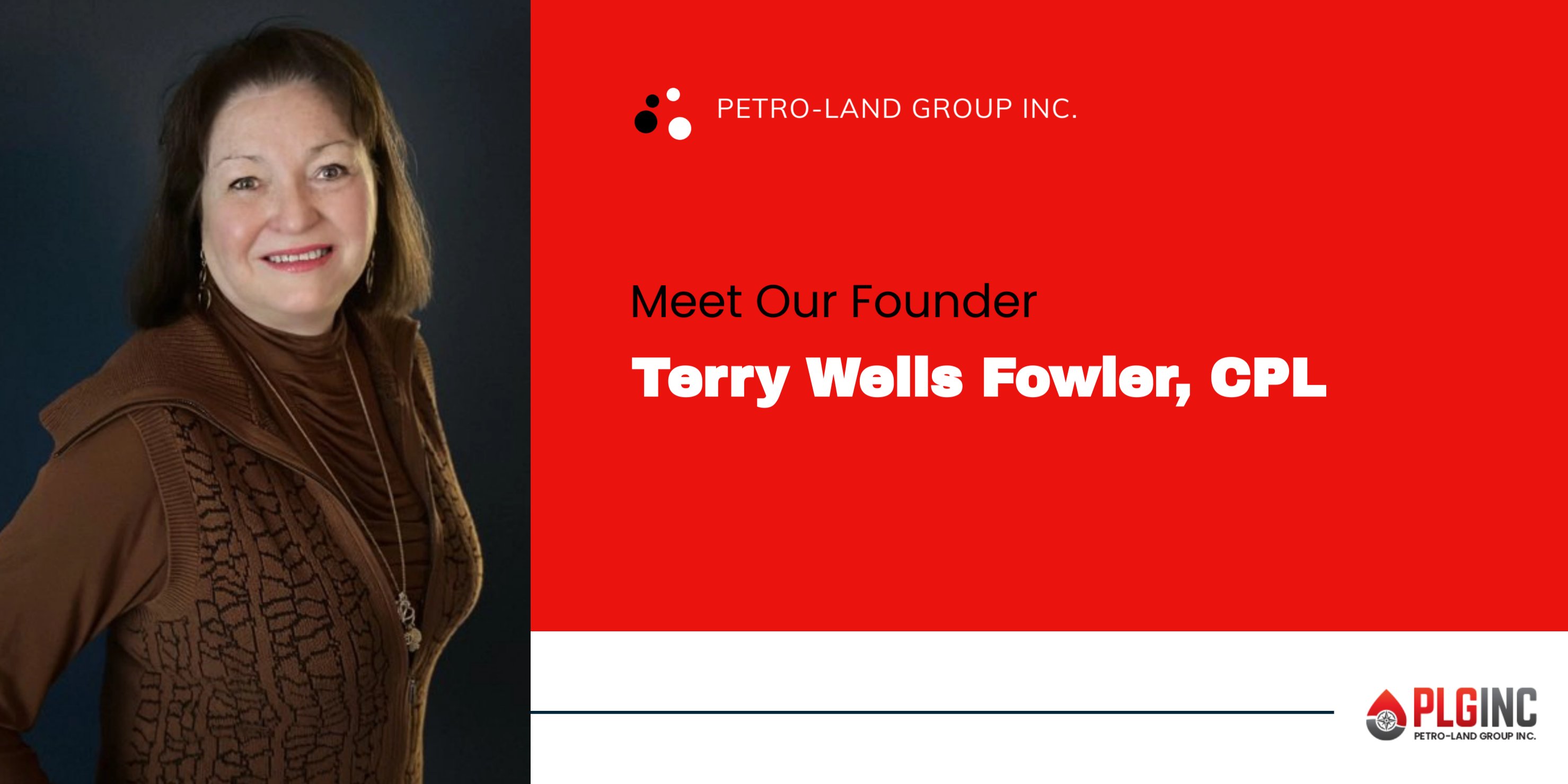 PetroLand Group (petro_land) / Twitter