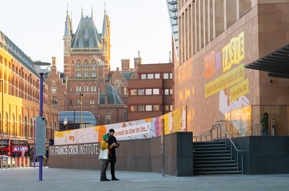 TheCrick's tweet image. Now that the clocks have changed, there’s more opportunity to get out and about in the evenings. Good thing our mini exhibition #CutAndPaste, created with @TheLiminalSpace, is open until 8pm every Wednesday! See more info about opening times here 

🔗 crick.ac.uk/whats-on/exhib…