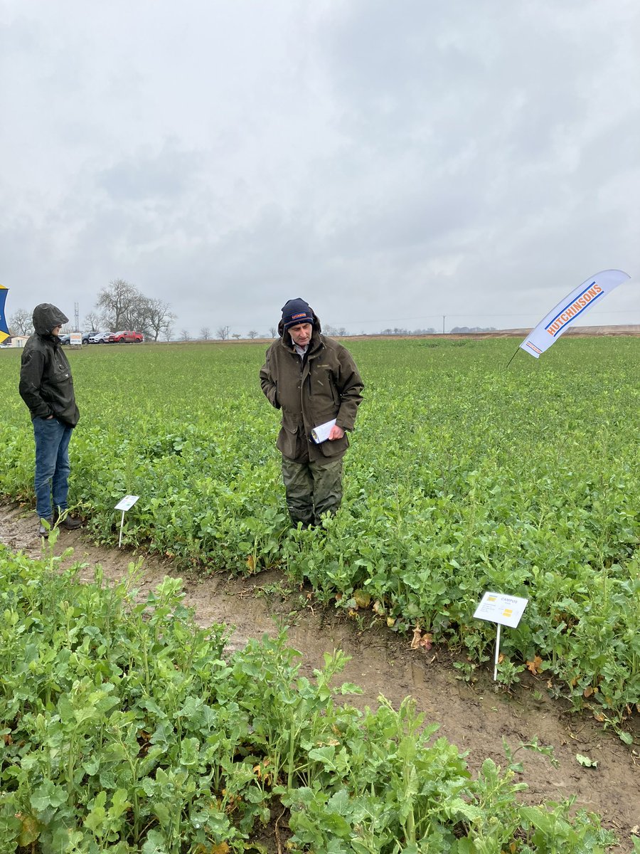 Sam Collins tweet media