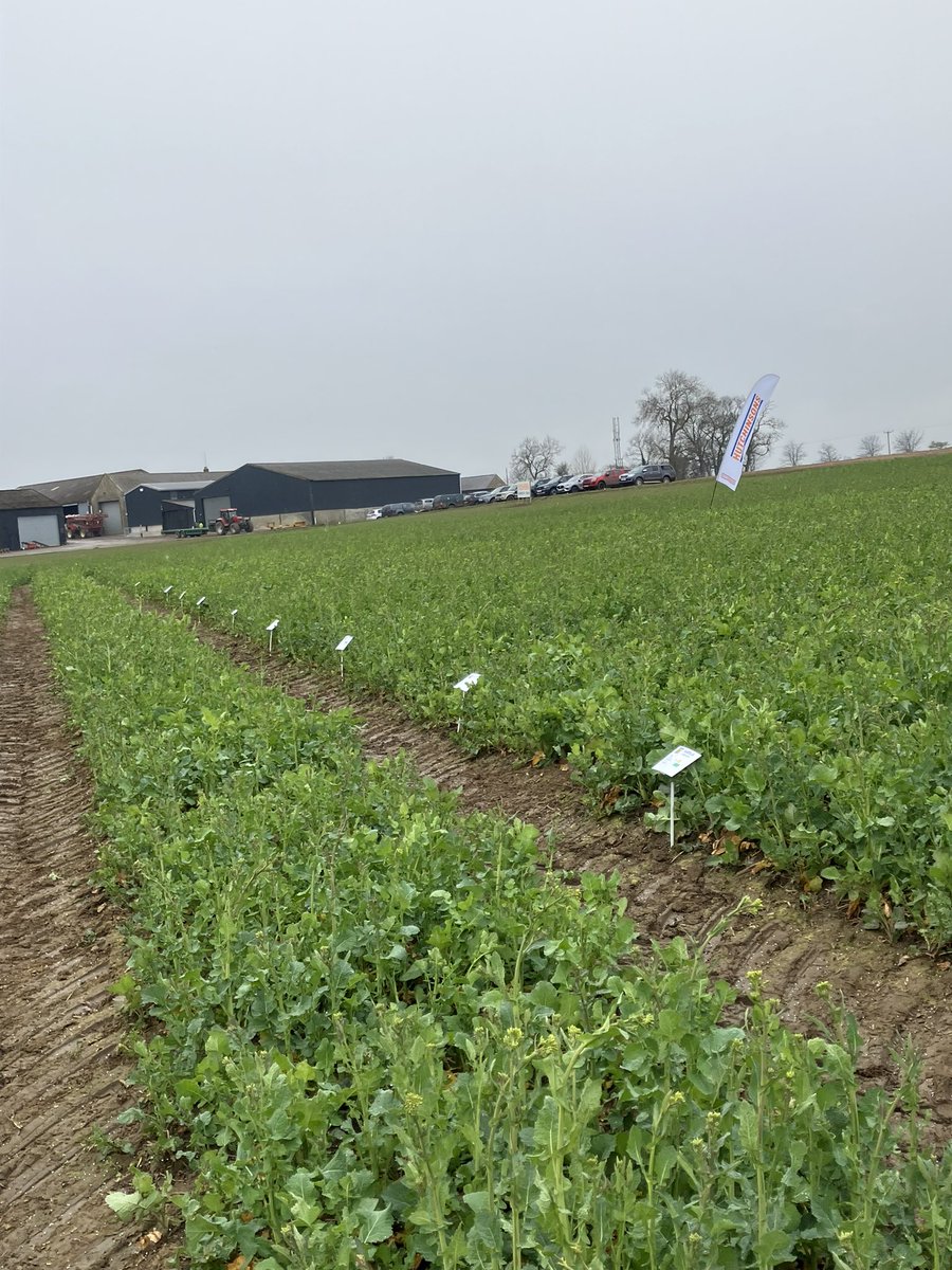 Sam Collins tweet media