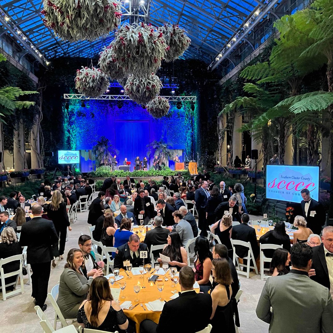 First Ascent tweet media