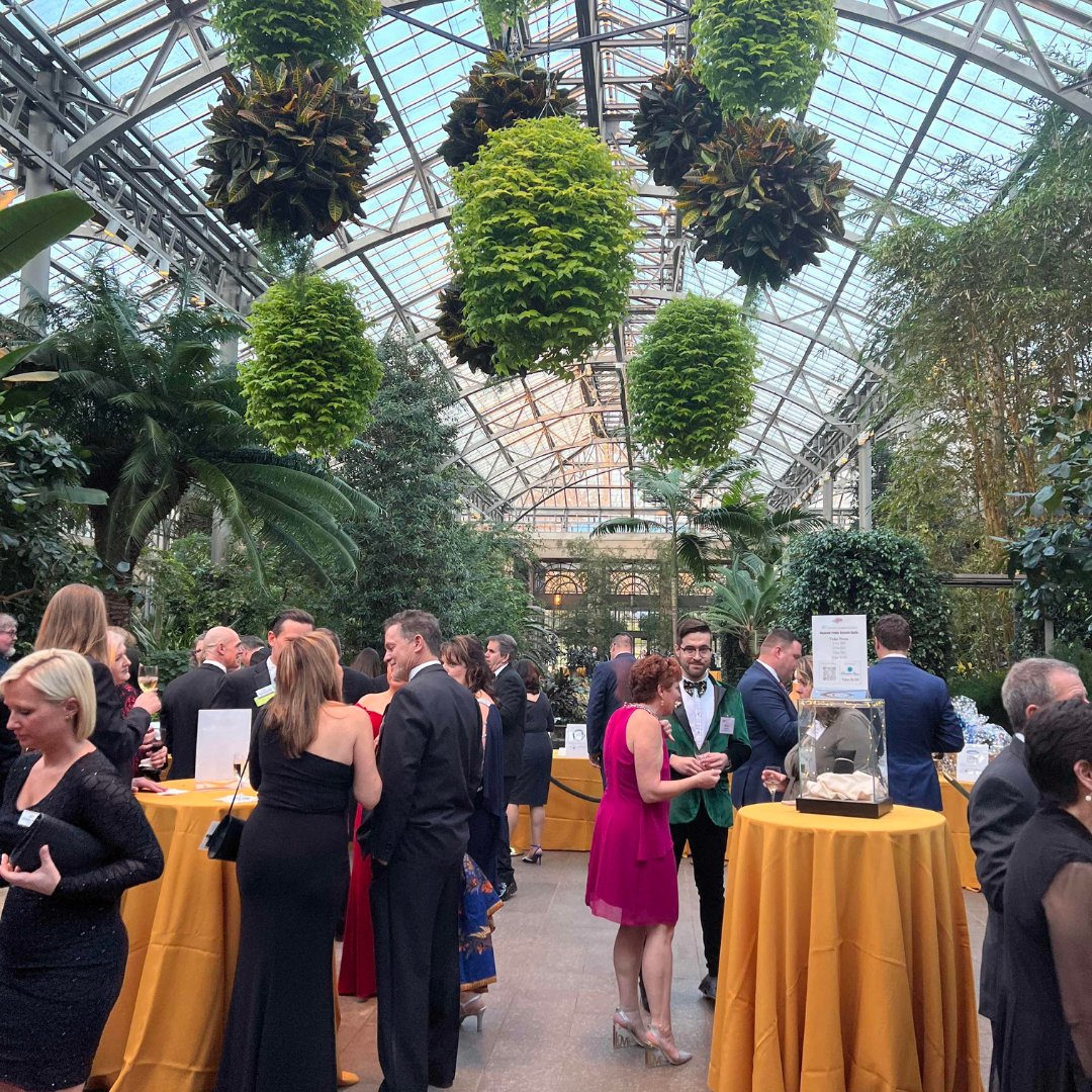 First Ascent tweet media