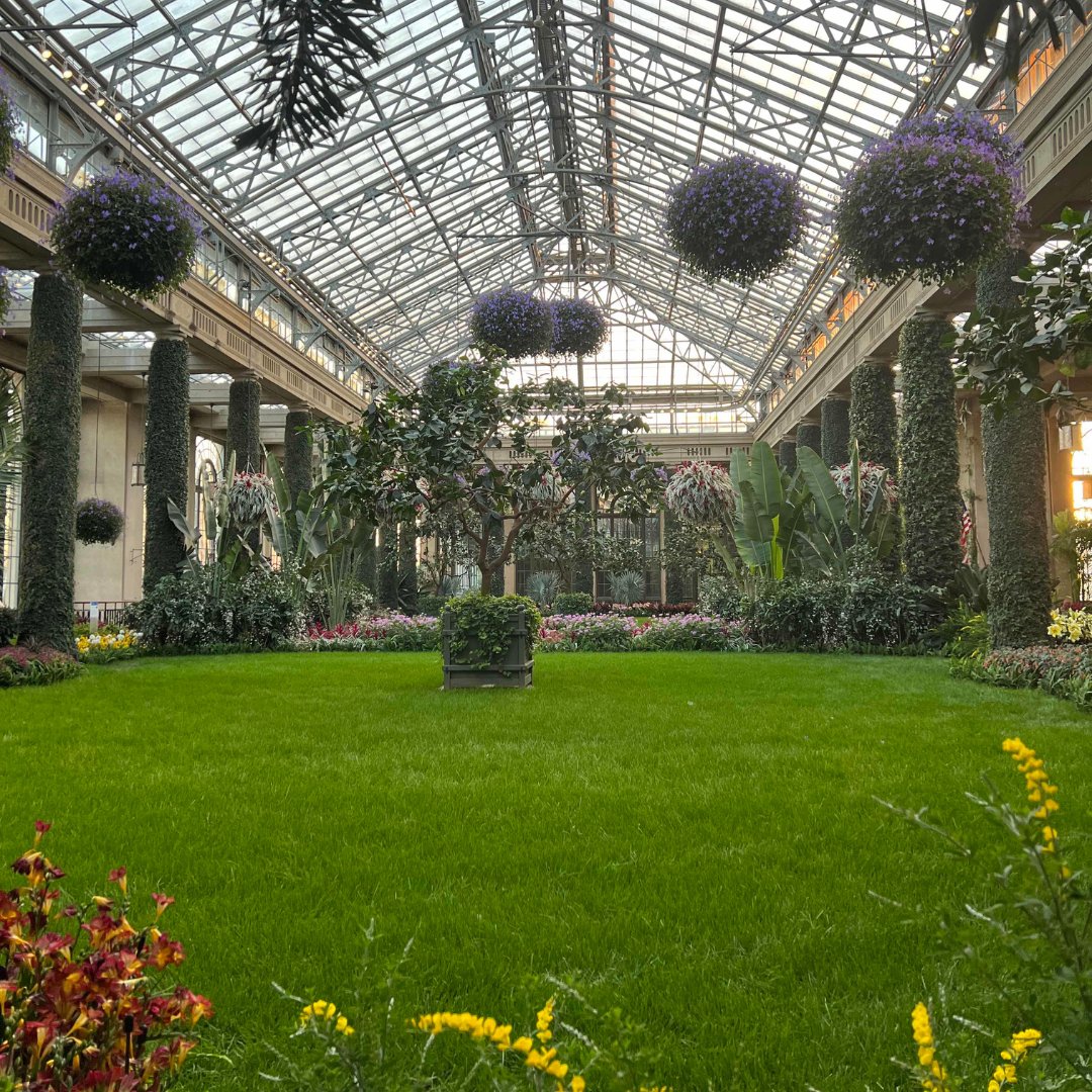 First Ascent tweet media