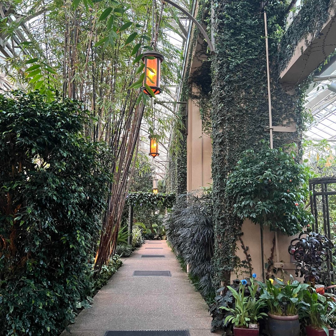 As a member of the Chamber Board of Directors, John attended the <a href="/SCCCC1930/">SCCCC</a>'s 56th Annual Chairman's Gala at <a href="/longwoodgardens/">Longwood Gardens</a>  to enjoy a silent auction, dinner, and dancing. A spectacular event in a great venue for a great cause!