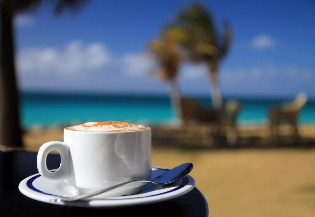 CubaTravelServ's tweet photo. We like our coffee cubano style: sweet &amp; strong
Book your trip to Cuba today with #CubaTravelServices and support the Cuban people! We offer flights, accommodations, tours, car rentals &amp; more!✈️💙
#Cuba #travelblogger #Travel https://t.co/5m4LZVNlAM