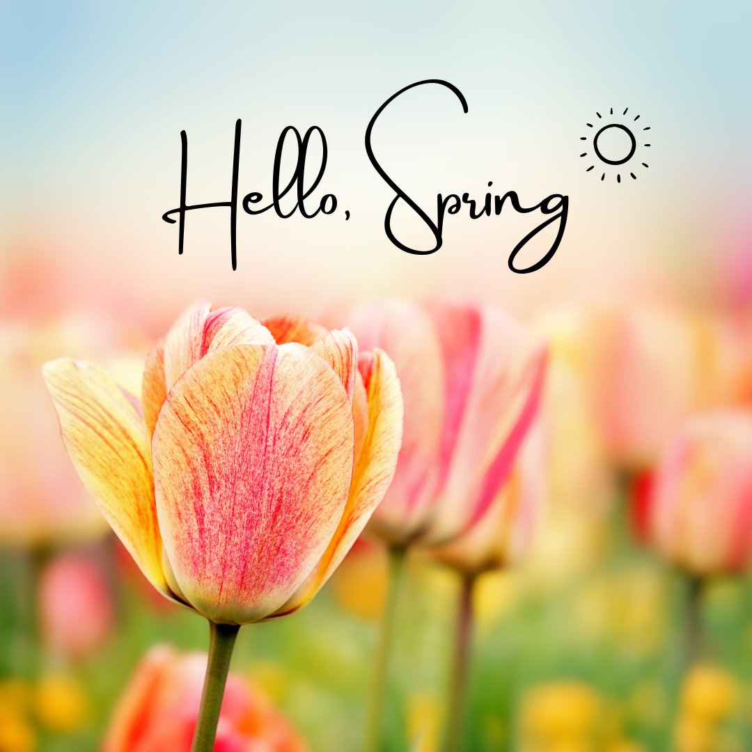 Western New York BloodCare tweet media