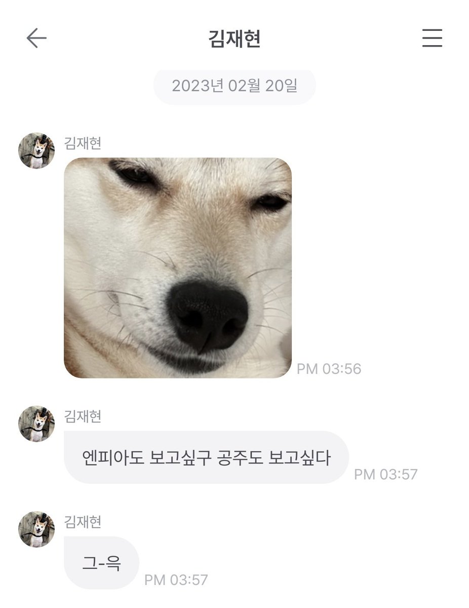 Wha_so_see's tweet photo. 재현프롬하면 빠질 수 없는 덕배! 재현오빠를 부��워 해야 할지 덕배를 부러워 해야 할지 모르겠다구요🥹🥹 아 그리구 하정말.. 저 민낯을 보고 내가 어떻게 떠나냐구..🤦‍♀️
#재현프롬 #훗맨_재현이_나가신다 #iiOK #FROMM
@NFlyingofficial @WdwlArtlab https://t.co/C7m0VQr6tk