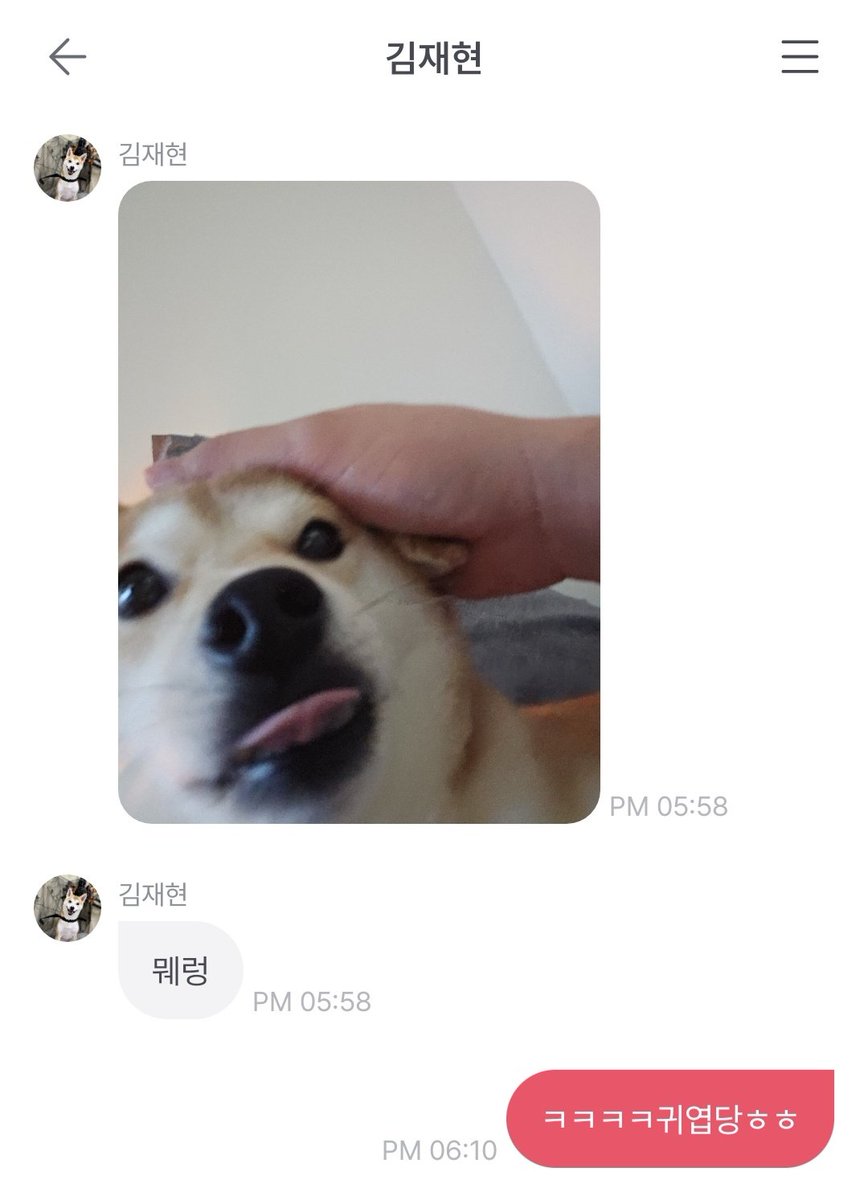 Wha_so_see's tweet photo. 재현프롬하면 빠질 수 없는 덕배! 재현오빠를 부��워 해야 할지 덕배를 부러워 해야 할지 모르겠다구요🥹🥹 아 그리구 하정말.. 저 민낯을 보고 내가 어떻게 떠나냐구..🤦‍♀️
#재현프롬 #훗맨_재현이_나가신다 #iiOK #FROMM
@NFlyingofficial @WdwlArtlab https://t.co/C7m0VQr6tk