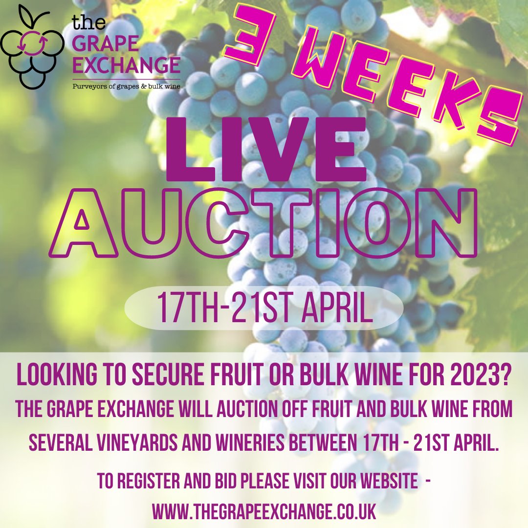 infothegrapeex1's tweet photo. Just 3 weeks left until our auction is LIVE👆️

🍇Looking to secure fruit or bulk wine for 2023?🍇

To register and bid please visit our website:
https://t.co/arvy06qDUs

For more information, email:
info@thegrapeexchange.co.uk https://t.co/v6OVdHjGPm
