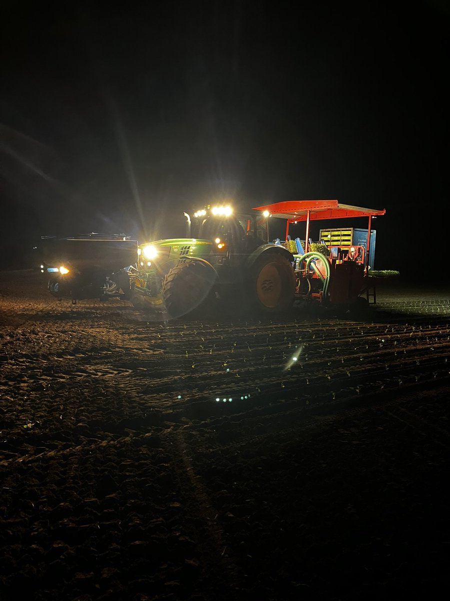 alexbaylis_'s tweet photo. Big shift by the planting team to work through the night to get some @Tenderstem in the ground…hoping for some warmer and drier days to catch up with planting and get some early June production 🥦🥦🥦 https://t.co/0YXKTDprrv