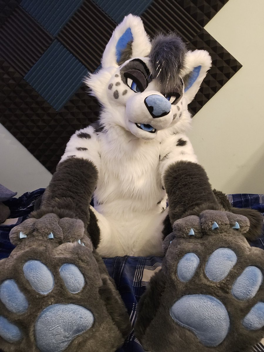 Aurorakins's tweet photo. Oh shit im fluffy now https://t.co/ei8HcIl76b