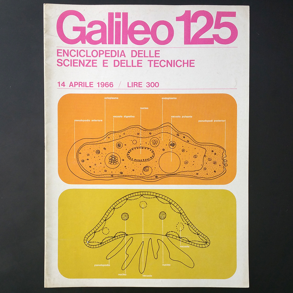 1963 covers of the Italian science magazine Galileo, designed by Massimo Vignelli. More at @VignelliCenter

vignellicenter.tumblr.com/search/Galileo