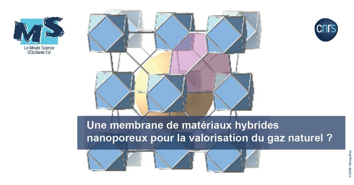 CNRS_OccitaniE's tweet image. 👨‍🔬  #MinuteScience | De nouvelles pistes pour envisager des procédés industriels plus efficaces de purification de gaz naturel et de biogaz ?

➡️ buff.ly/41C5q8i 
 
#ICGM @cnrs @umontpellier @enscmchimiemtp
