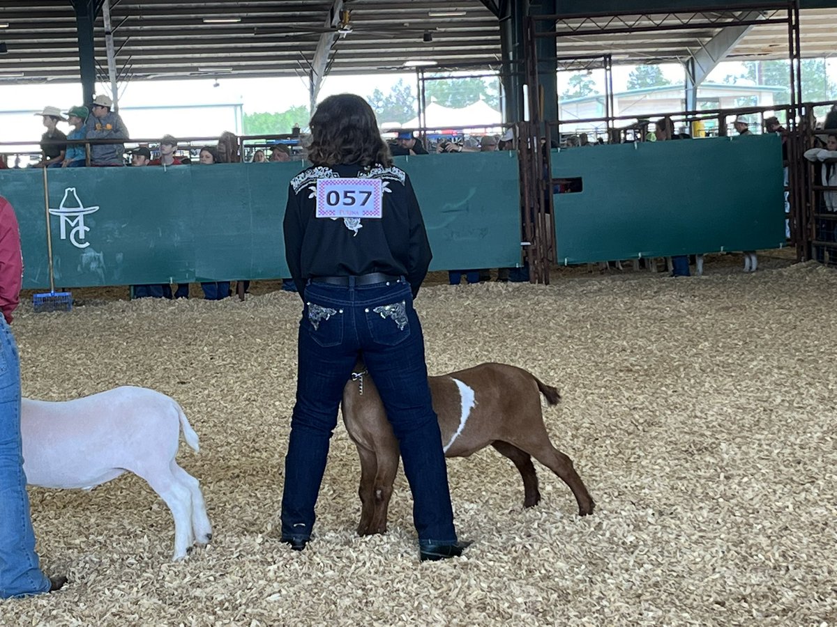 Morgan Thomas our first goat of the day at MCF. Great job Morgan!