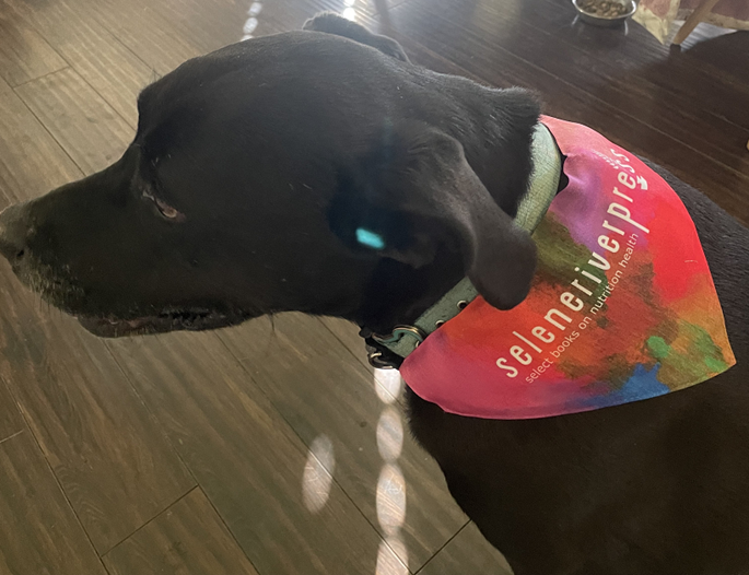 SeleneNutrition's tweet photo. Thank you to the lovely Ms. Cortana, our Managing Editor's black lab, for showing her support for Selene River Press in her adorable bandana! All our animal lovers out there can check out the fun variety of pet friendly options available at https://t.co/qynIqwtZ39. https://t.co/qUfa4ogW2H