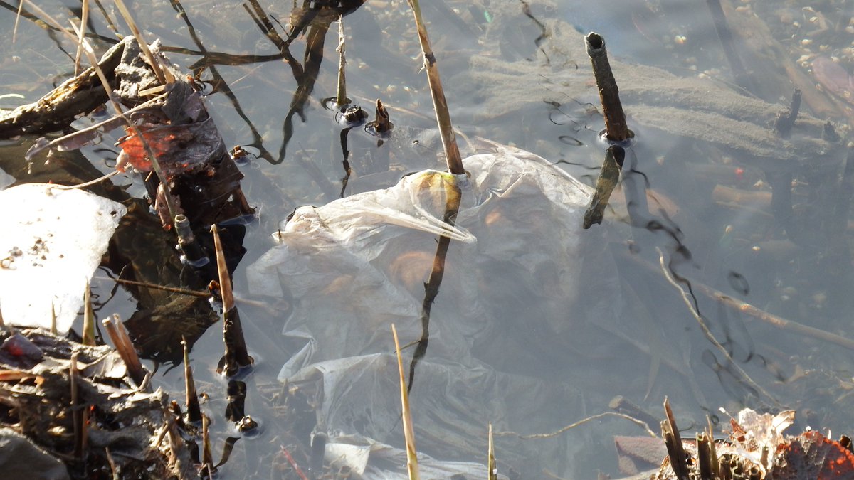 The 'nature reserve' in Mayesbrook Park is in a disgusting state. 
The Mayes Brook river banks are clogged with sewage waste.
There were 79 discharges in 2021 & 54 in 2020.
Formally complain to Thames Water here: londonwaterkeeper.org.uk/formal-complai…