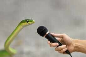 jim_trax_japher's tweet photo. I would like to hear from the snake https://t.co/ide9IiWgE7