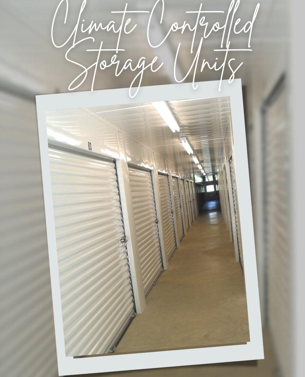 Tellus_Storage's tweet image. Preserve items such as electronics, media, artwork, musical instruments and other items with a climate controlled storage.

#climate #climatecontrol #storageunits

TELLUS SELF STORAGE - WATSON
33722 Louisiana 16
Denham Springs, LA 70706
225.314.8347