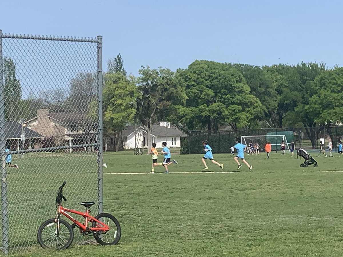 Anne Shacklett tweet media