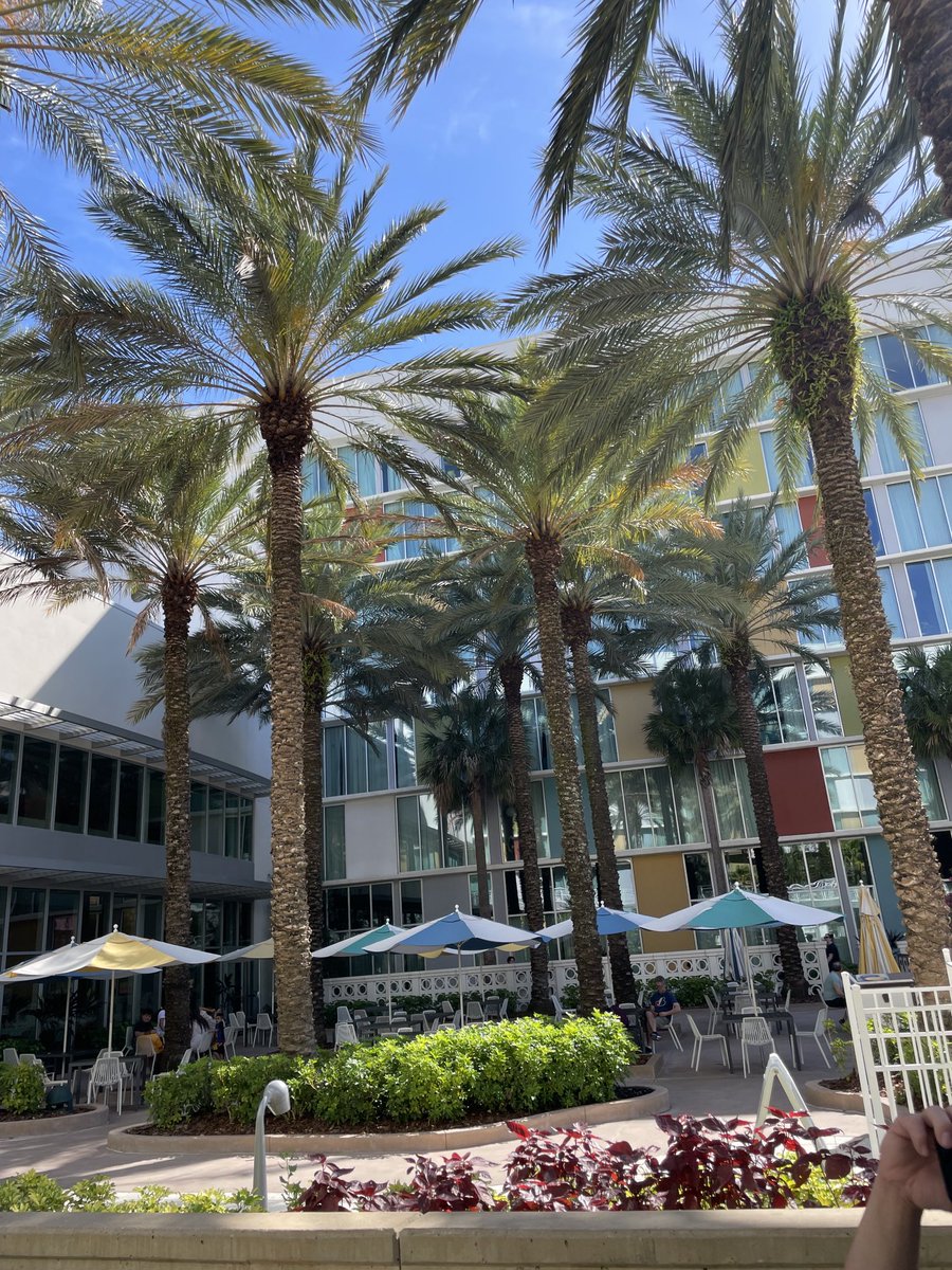 mmass137's tweet photo. Successful trip and great team experience in Florida https://t.co/meB8kWxp2k