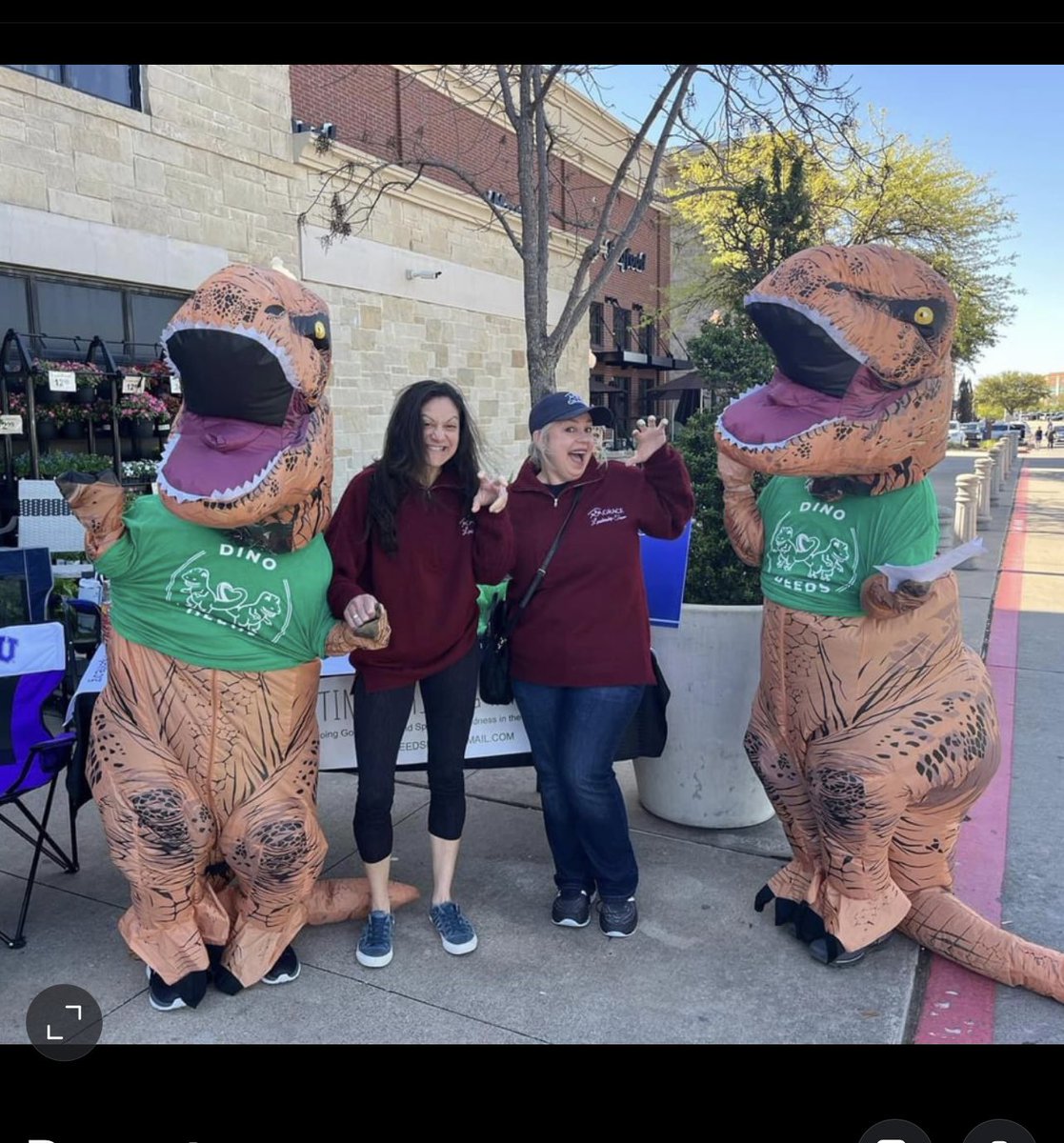 Dino Deeds tweet media