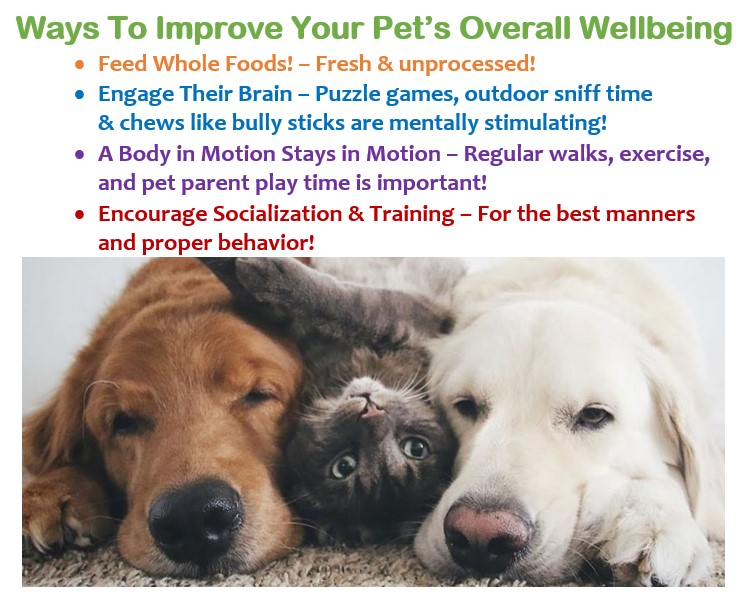 #holisticpetcare #cbdfordogs #healthypets #pets #naturalpetcare #preventioniskey