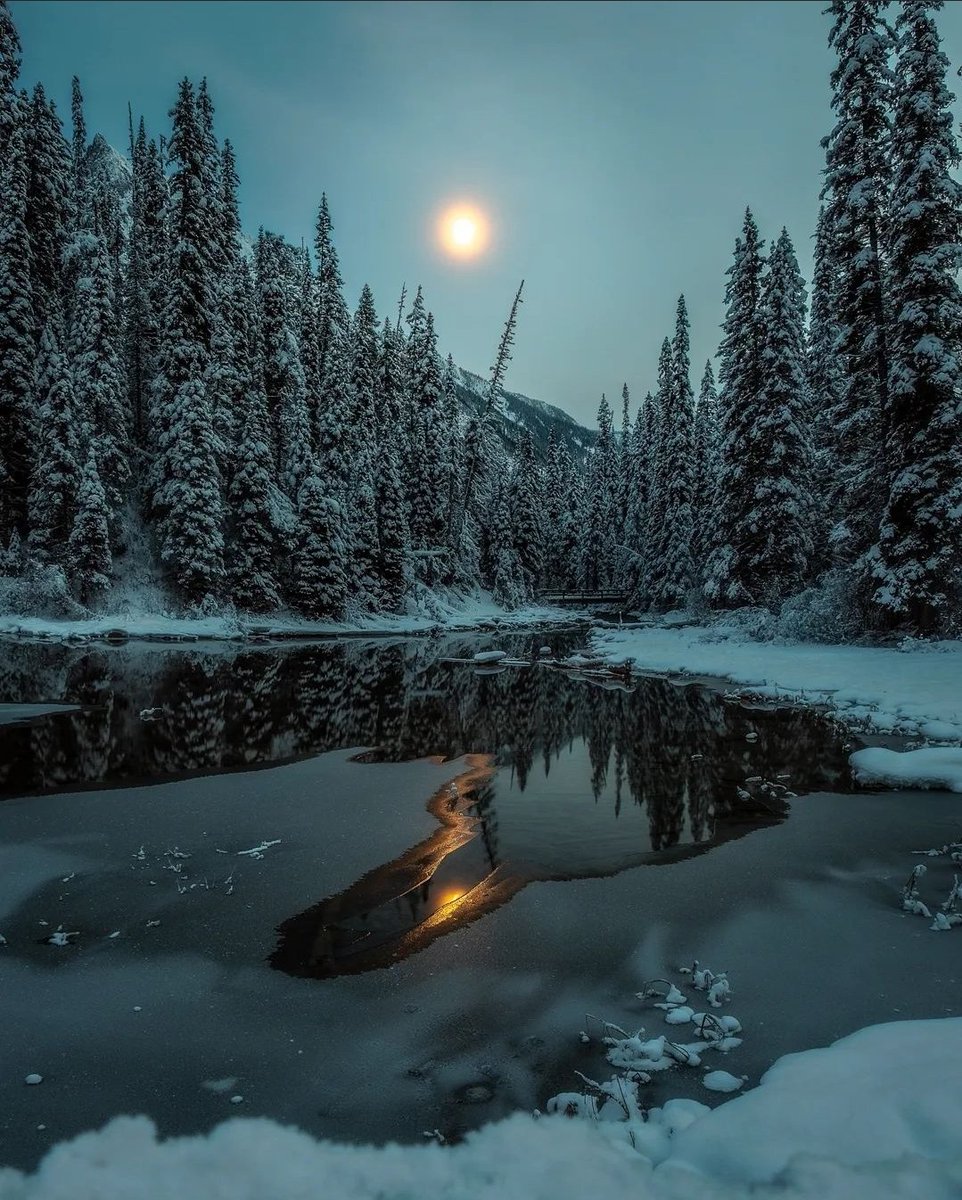 danschyk's tweet image. Moonlight at Emerald Lake