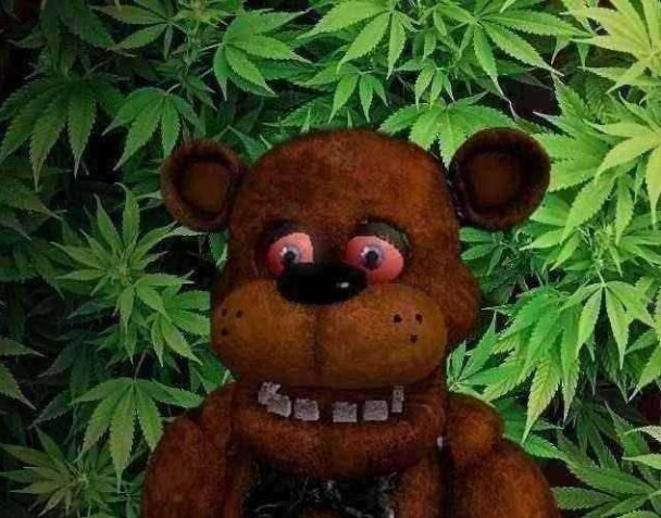 “ugh where did all my weed go?”

freddy fazweed: