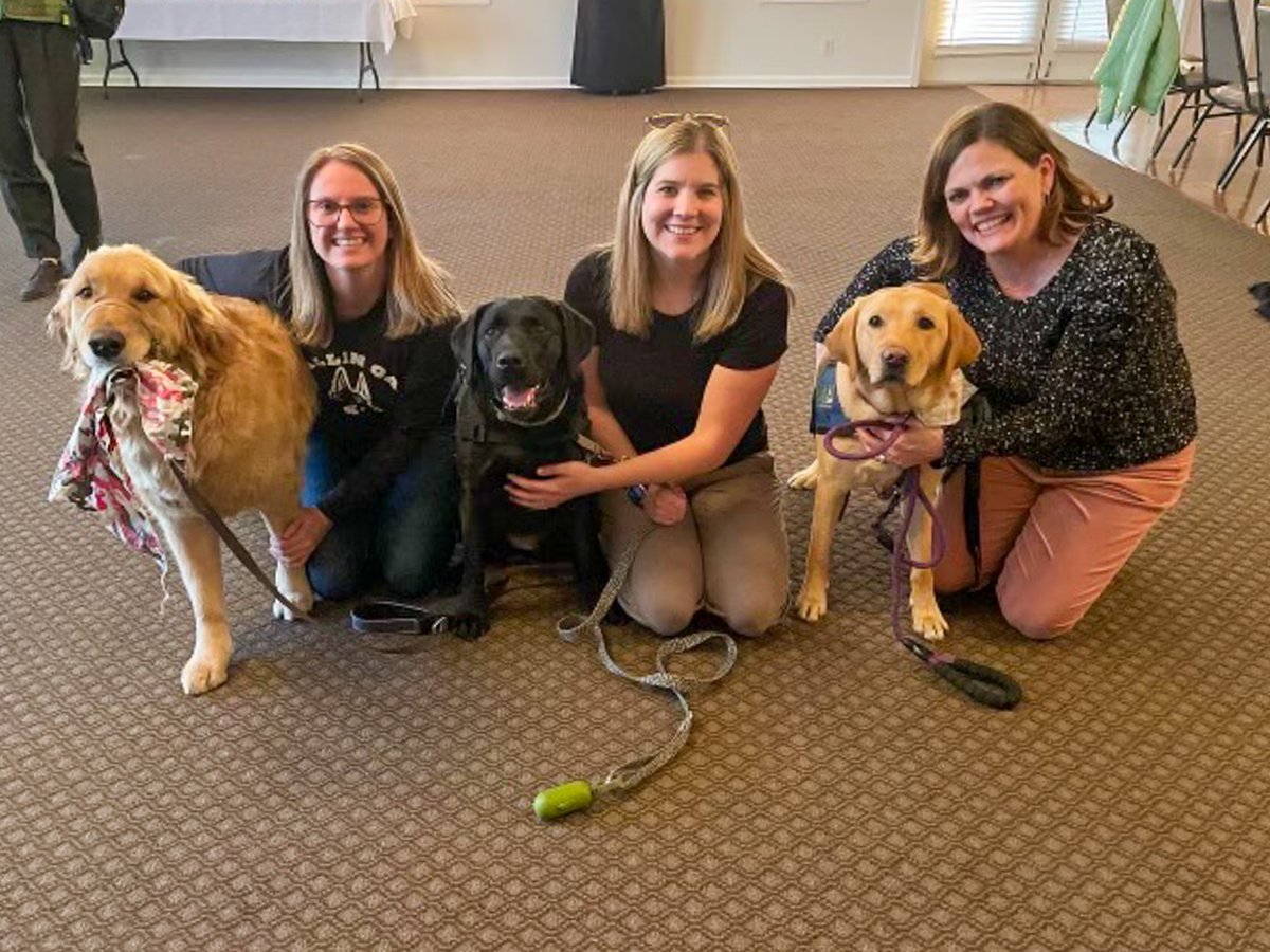 Congratulations to @d202schools therapy dogs Charger, Mooch, Simi, and their handlers on graduating from @ICANdogs in Indiana. We are #202proud of you all! @K9sOaks @Mr_Chlebek #CreeksideElementary @ISBEnews @ILSchoolNet