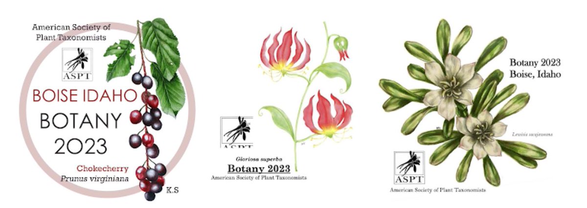 ASPT T-Shirt Contest - Time to choose your favorite! - mailchi.mp/4743b52cc306/a…