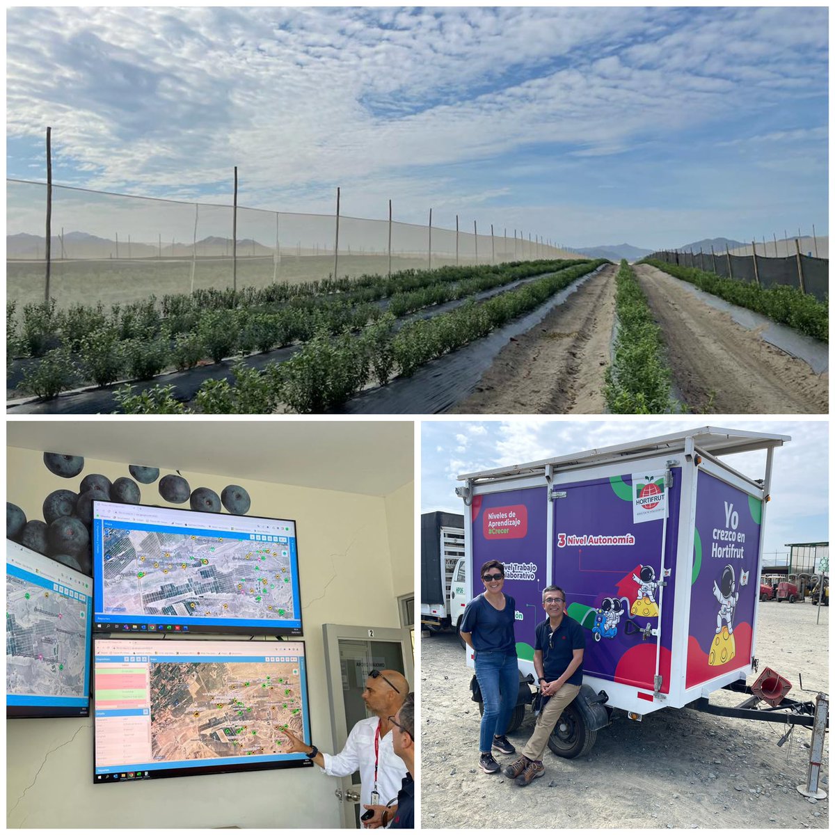 “Berries con personalidad única”. Así me recibe *Hortifruit* empresa líder en producción y comercialización🫐. Modelo de negocio exitoso basado en una cultura centrada en la gente, comunidades y el medio ambiente. 1/2
#PAFTA #Hortifruit #ConPunchePerú