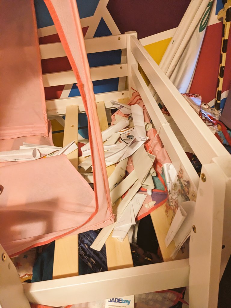 Ashley Nicolson 🌟 tweet media