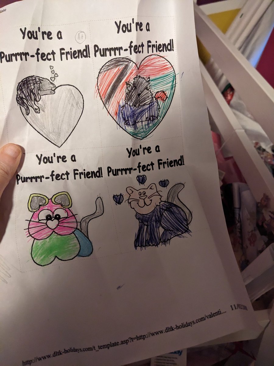 Ashley Nicolson 🌟 tweet media