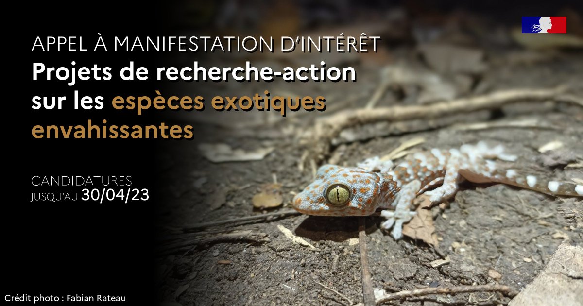 📢 L’<a href="/OFBiodiversite/">Office français de la biodiversité</a> lance un AMI visant à soutenir et financer des projets de recherche-action sur les espèces exotiques envahissantes en France hexagonale et dans les outre-mer

💶 Enveloppe max : 1,8 M d'€

👉 + d'infos : ofb.gouv.fr/actualites/esp…

#MaBiodiversité