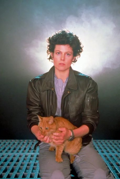 1 pic. Aliens (1986) promo photoshoot of Sigourney Weaver as Ellen Ripley with Jones the cat. 🐱 https://t