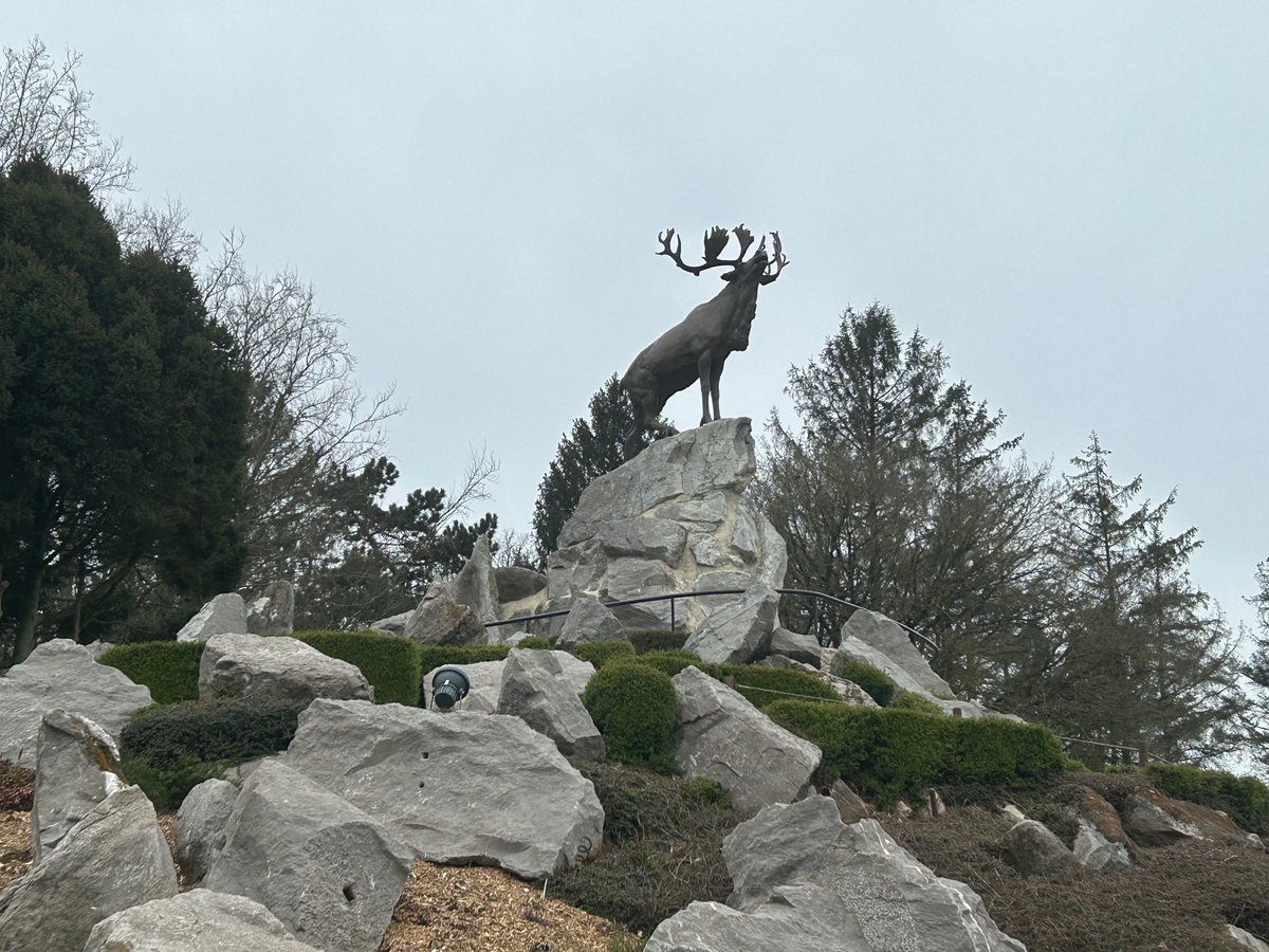 MrLargeRundle's tweet photo. Day 6 - Beaumont-Hamel. I was extremely honoured today to have the privilege to lead our group at such an important location. It’s always surreal to be back at the Somme. #rockiesineurope https://t.co/7xGuhNSyqO