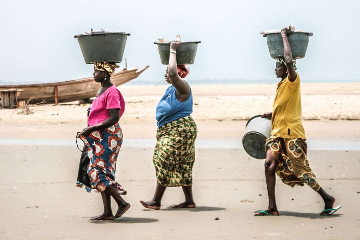 senegalphoto's tweet photo. La contribution des femmes à la pêche est essentielle ! 🇸🇳🛶🐠

Regione della Casamance, Senegal, 25.4.2013

@andrea_ruffi

#senegalphotography

・・・

#senegal 🇸🇳 #casamance #reportage #documentary #documentaryphoto #african #africanstyle #westafrica #pêche #fish #fishing https://t.co/1rxtvYxVyk
