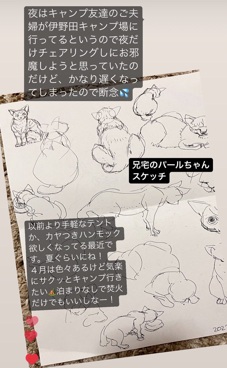 先日日記続き。
エアコンがついたその後。
汗がダラダラ出ていたのは、温度より湿度が高いせいみたい。

ここ数日は涼しめで、エアコン無しですんでます

兄宅にいくと、手近な紙で猫のパールちゃんをスケッチしてみるも、動きまわるのでむずい。あと、身体は描けても頭部難しいなー! 