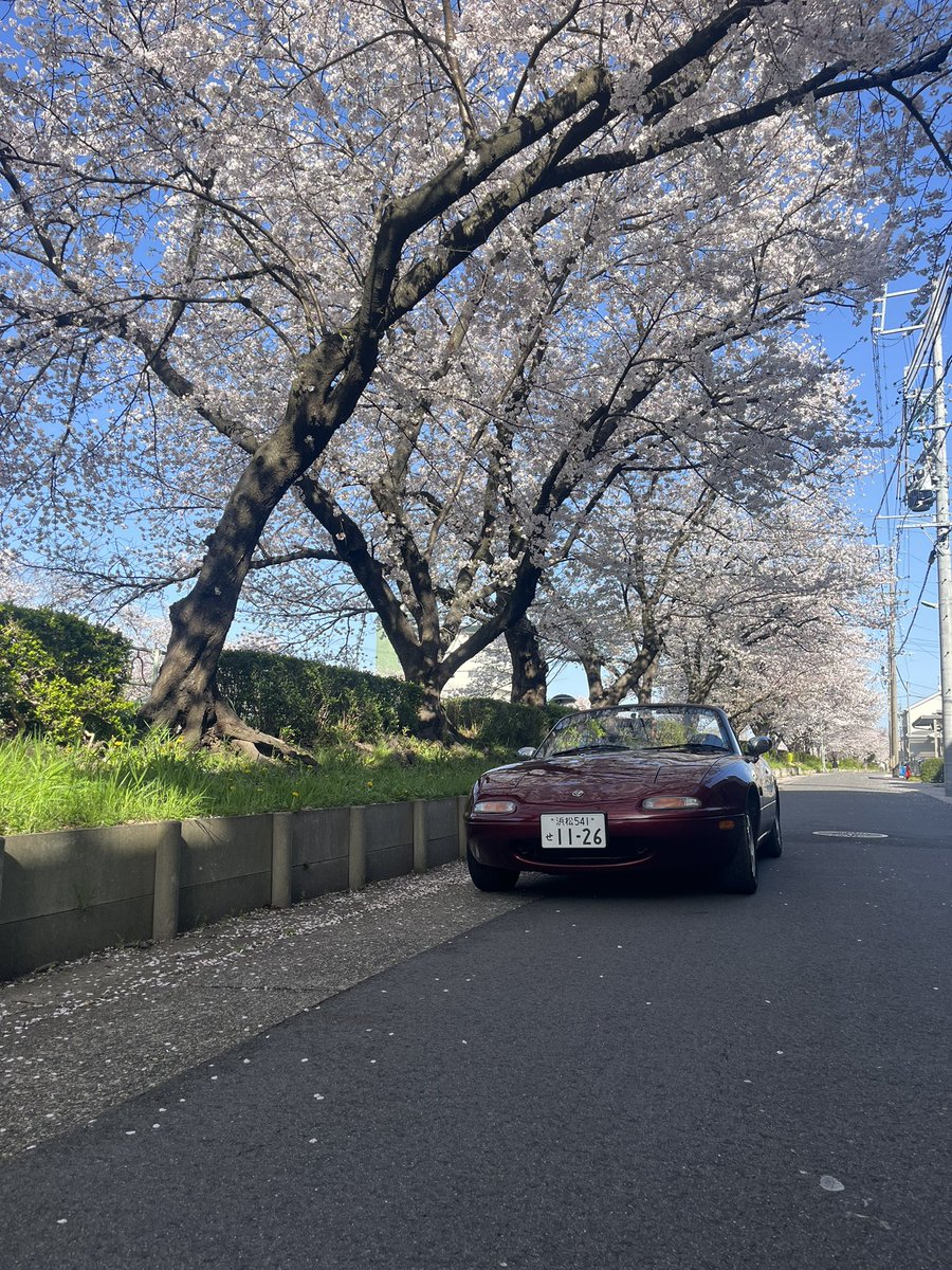 n847jq's tweet image. 軽く自己紹介- ̗̀ ꪔ̤̥ꪔ̤̮ꪔ̤̫  ̖́-
名前:みゆう
性別: 🚺
年齢: 19
住み:静岡県
職業: かっこよく言えばエンジニア
愛車: NA8C B2リミテッド
一言: これからバチバチに仕上げていきます、、
 #車乗りとして軽く自己紹介 #naロードスター 
 #na8c