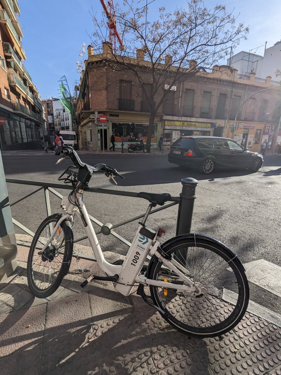 Lorenzo Olivieri tweet media