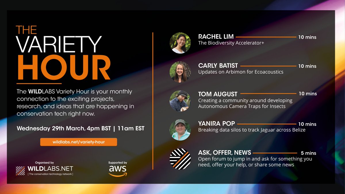 Join us tomorrow for the @WILDLABSNET Variety Hour! Speakers: @TomAugust85: Autonomous Camera Traps for Insects, @Carly_Batist: @RainforestCx's Arbimon, Rachel Lim: The  Biodiversity Accelerator+, Yanira Pop: Tracking Jaguar across Belize. Register here: wildlabs.net/event/variety-…