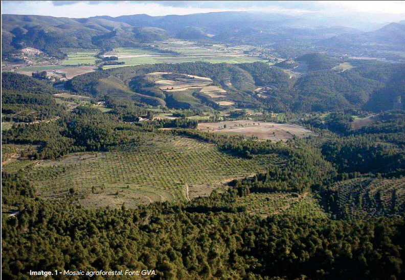 1) Anem amb #FilForestalValencià en referència al #IFVillanuevaViver i al origen de les causes estructurals #IncendisForestals #IIFF

Se parla molt, però s'educa poc. I part del problema és la falta de #EducacióForestal. Tots els grafismes són de <a href="/Medi_XXI_GSA/">Medi XXI GSA</a> o @GVAagroambient