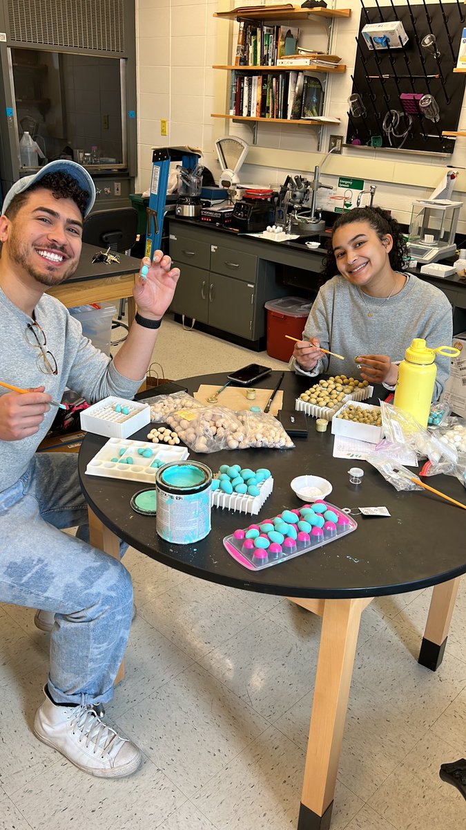 Mark E. Hauber tweet media