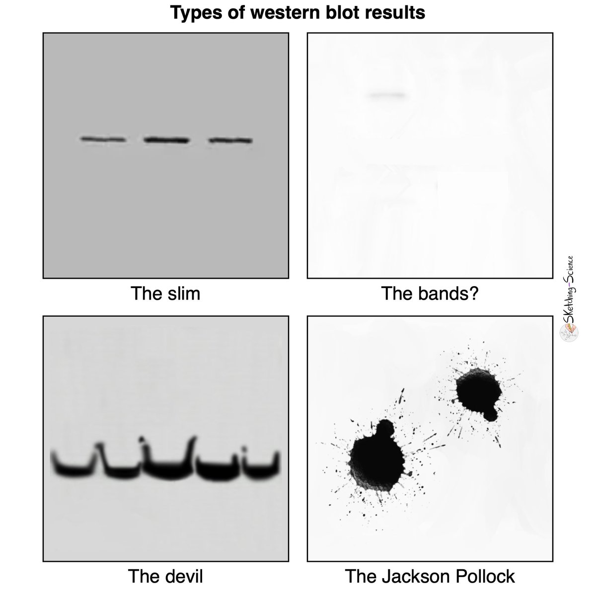 Sketching Science tweet media