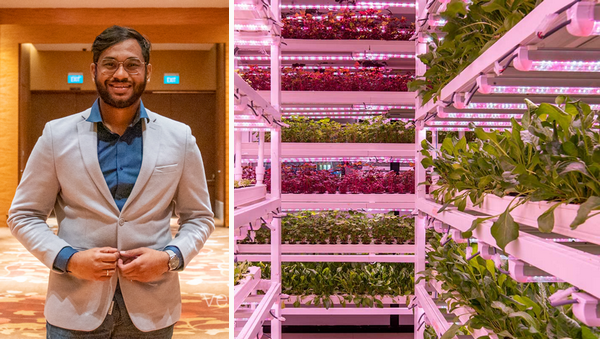 India: “We’re setting up farms globally for a fraction of the costs” <a href="/UrbanKisaan/">UrbanKisaan</a>
verticalfarmdaily.com/article/951520…