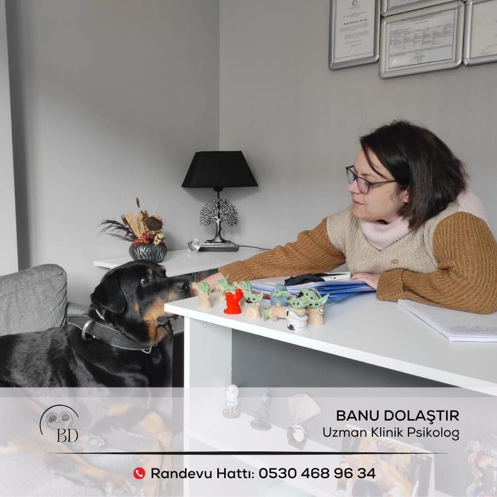 BanuDolastir's tweet image. Kliğinimize evcil hayvanlarınızla gelebileceğinizi biliyor muydunuz? 🥰 #uzmanklinikpsikologbanudolaştır #lüleburgaz #lüleburgazterapi #lüleburgazpsikolog #onlineterapi #sematerapi instagr.am/p/CqVqlP_IxVT/